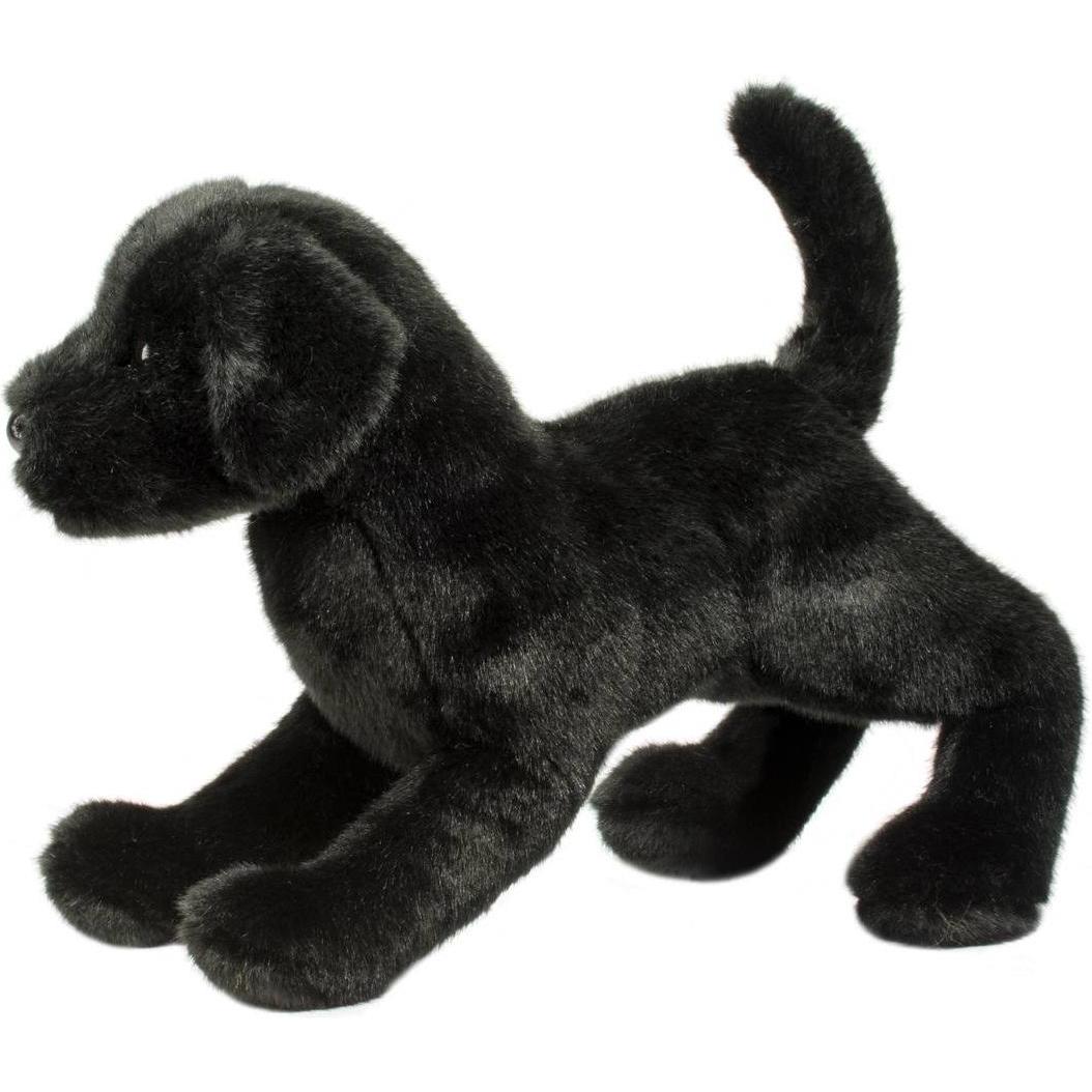 Douglas Chester Black Lab