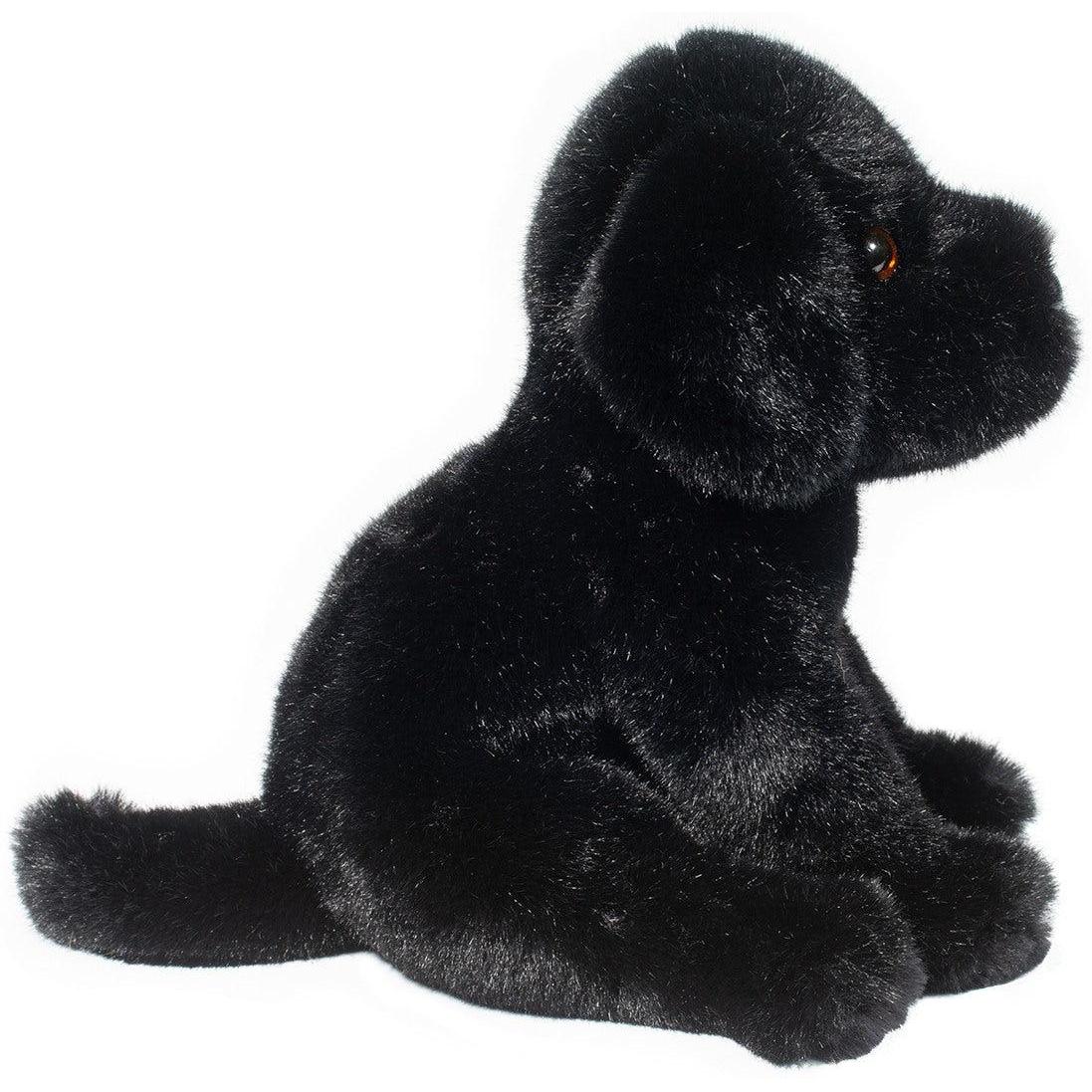 Douglas Ford Black Lab