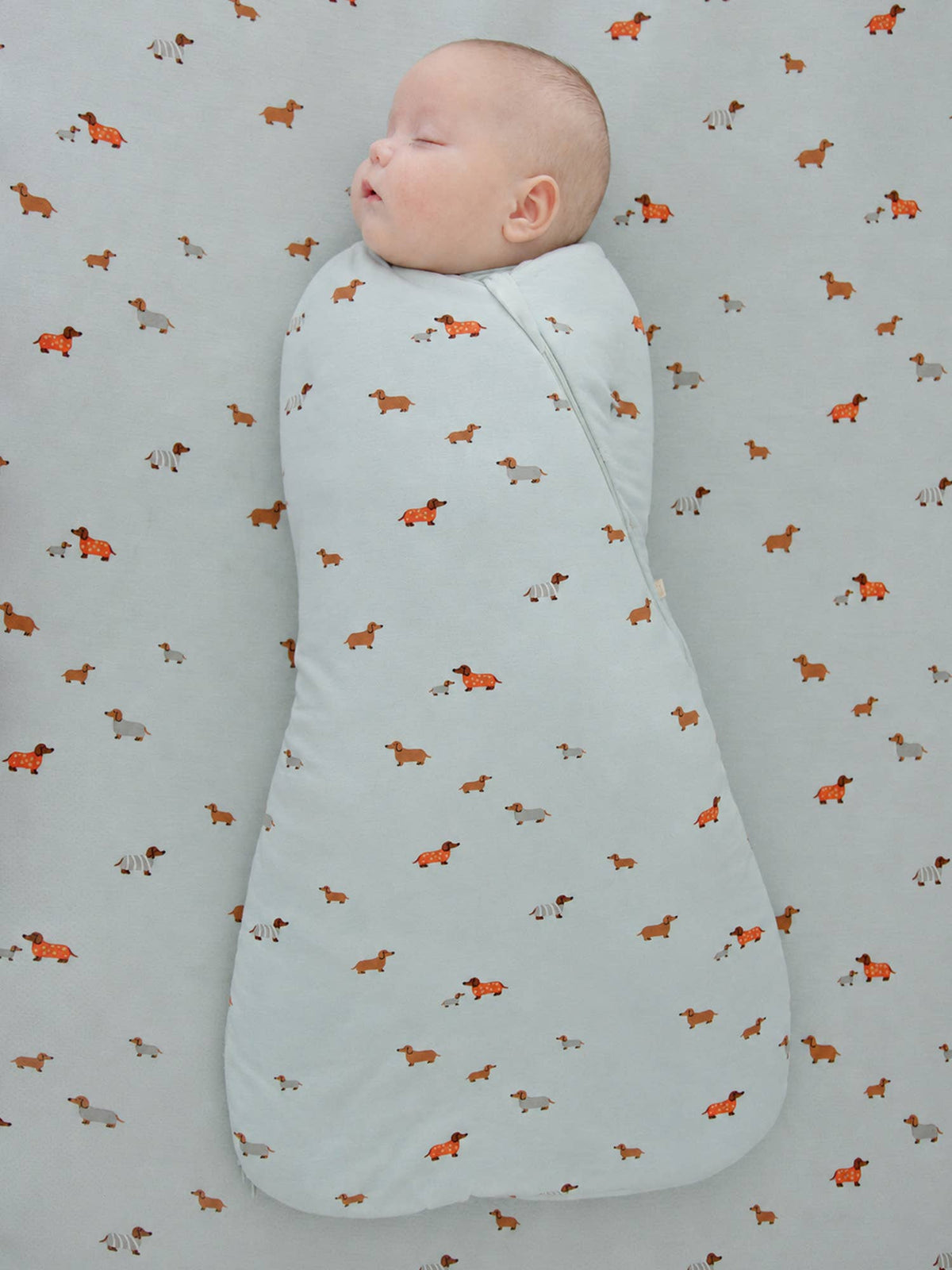 FW26 Swaddle Sleep Sack: Petals / 1