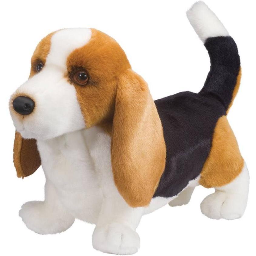 Douglas Harold Basset Hound