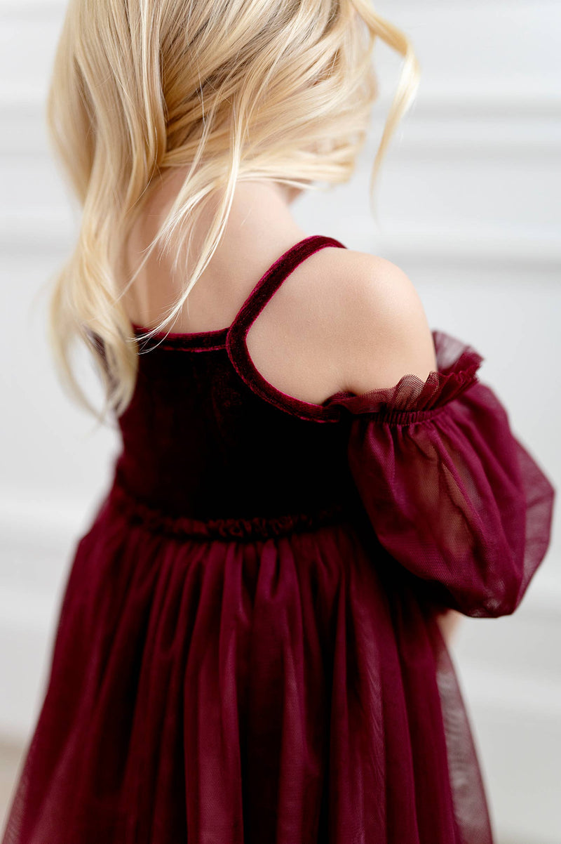 Everly Dress in Plum Ombre | Special Occasion