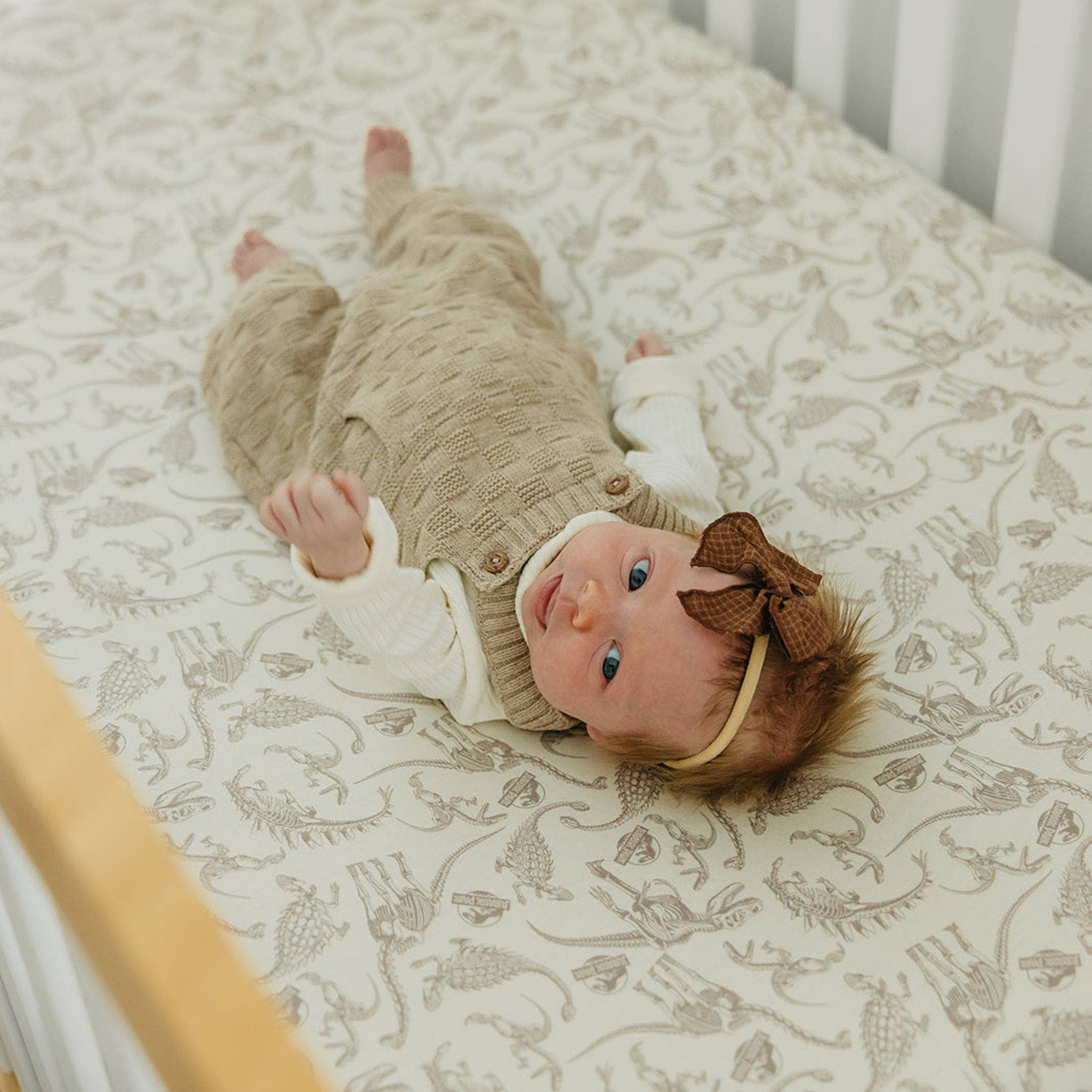 Copper Pearl Premium Knit Fitted Crib Sheet | Jurassic Park Fossils