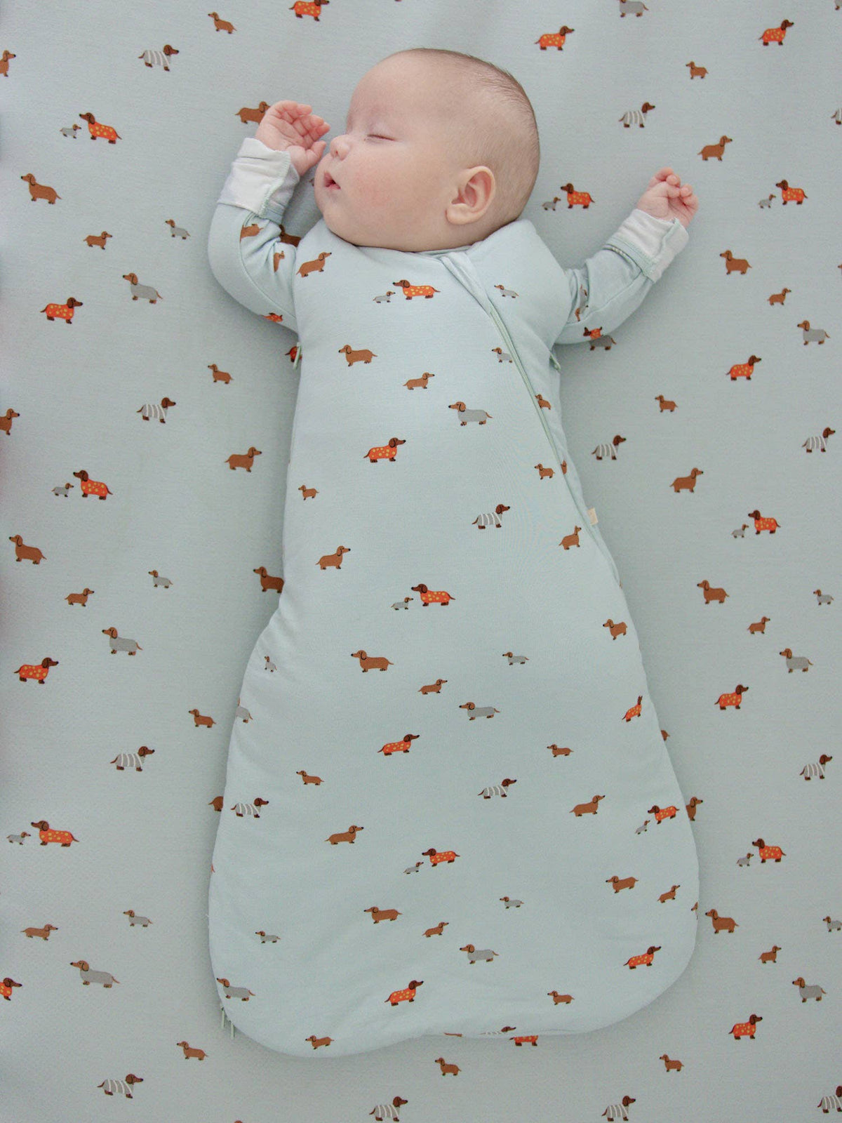 FW26 Swaddle Sleep Sack: Moose / 1