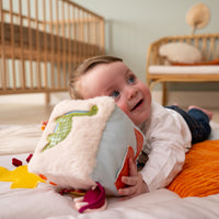Little Big Friends Soft Activity Cube | Dino Friends