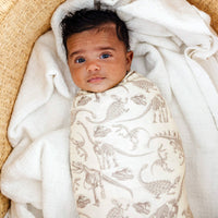 Knit Swaddle Blanket - Jurassic Park Fossils