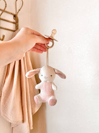 Bitzy Pal Natural Rubber Pacifier & Plush: Bow