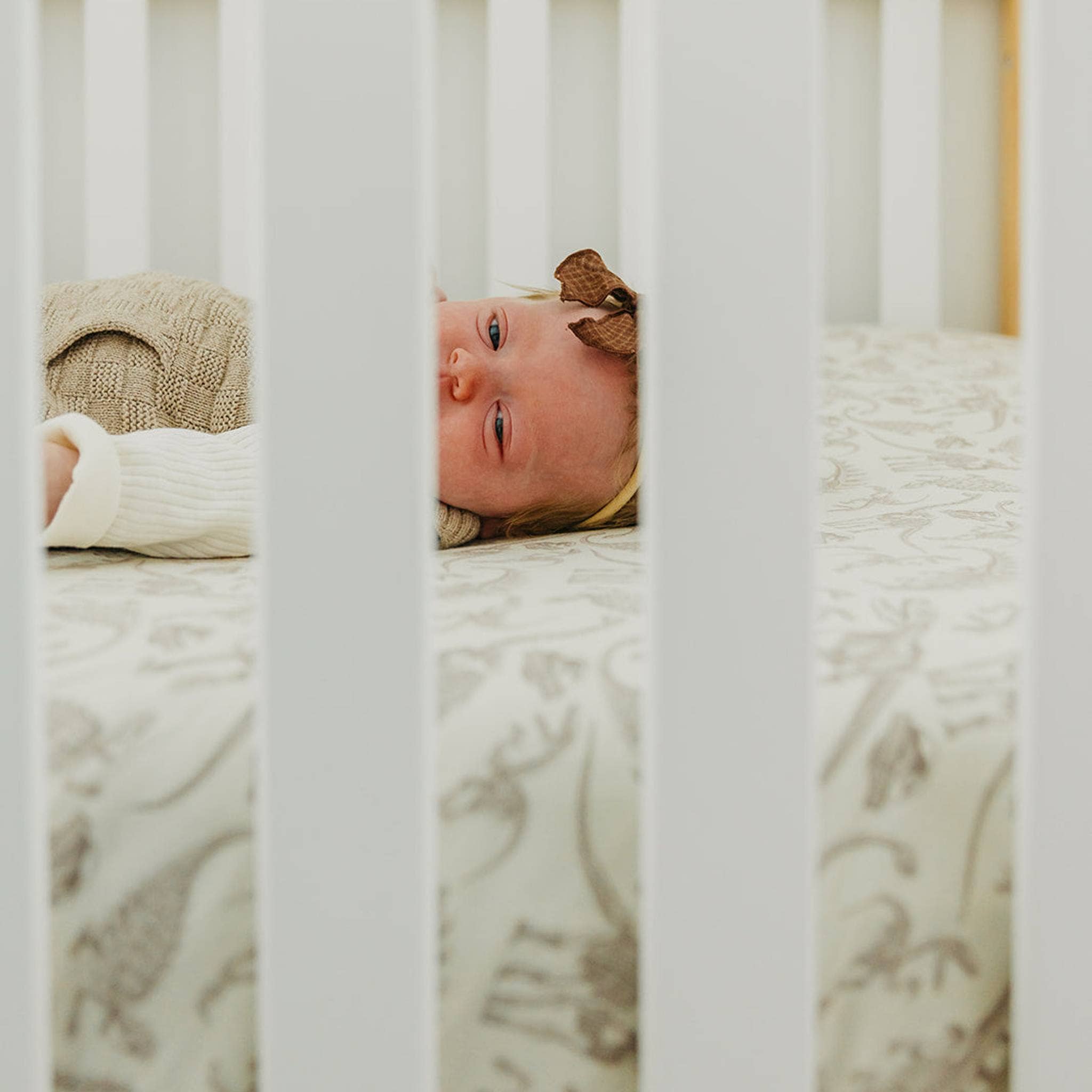 Copper Pearl Premium Knit Fitted Crib Sheet | Jurassic Park Fossils