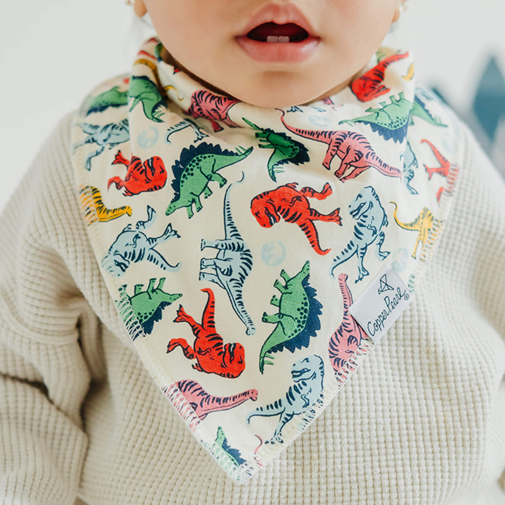 Copper Pearl Baby Bandana Bibs | Jurassic Park