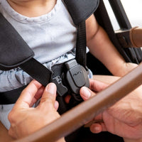 Nuna TRVL Stroller + Carry Bag