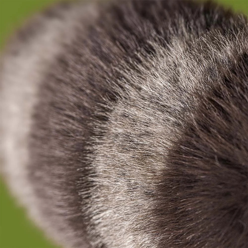 Jellycat Trixiwoo Racoon