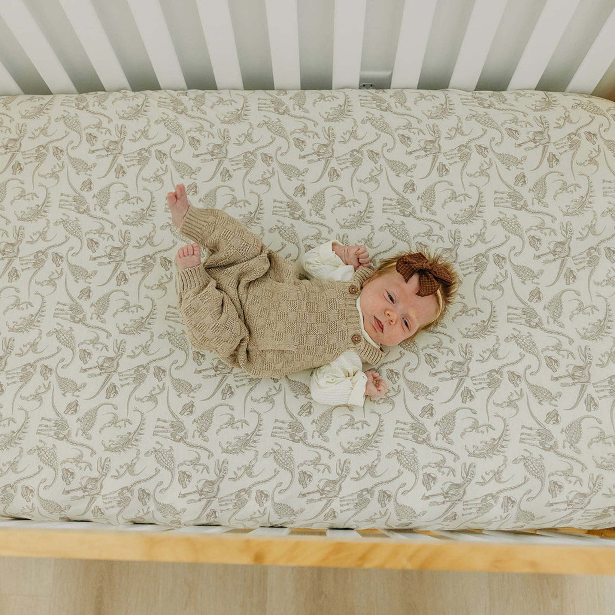 Copper Pearl Premium Knit Fitted Crib Sheet | Jurassic Park Fossils