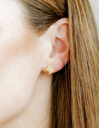 Screwback Stud Earrings - Big Texas