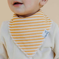 Baby Bandana Bibs - Santa Fe