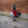 Reversible Spider/Bat Toddler Cape