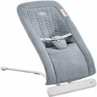 Chicco E-Motion Auto-Glider & Bouncer